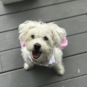 Meet your Posher, Kim